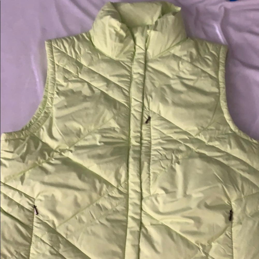 Vest